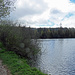 Am Etang des Royes.