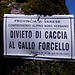 Lui è salvo, ma non vorrei essere una pernice qui.