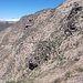 Traverso esposto nell'erba