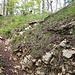 Abstieg zum hohen Sigbachfall