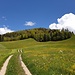 Blick zurück zum Hirnichopf