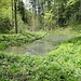 Weiher beim Sigrain