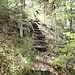 Aufsteig auf dem Grat vom Zinglenberg