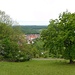 Blick vom Hofacker auf Löwenstein