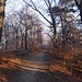Wanderweg vom Kahlenberg zum Leopoldsberg