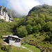 Alpe Mapel