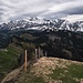 am Gipfel der Hochalp mit Blick zum Alpstein