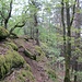 Zurück vom Retselfelsen auf dem südöstlichen Ausläufer des Rauhbergs bin ich jetzt auf dem Eisenbahnfelsen auf dem nordöstlichen Ausläufer. Auch hier gibt es eine Möglichkeit, leicht auf den Felsen hinauf zu kommen.