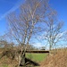 Wegbrücke (Bahn-km 13,4)