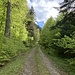 Go west! Wie angenehm dieser old fashioned Gloaßenweg mit der Landschaft verschmilzt, anstatt sie brutal zu zerschneiden, wie das die heute gebauten Forstautobahnen tun.