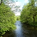 Blick vom Steg flußabwärts zur Einmündung der Wolfsteiner Ohe