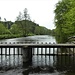 Blick vom Wehr an der Schrottenbaummühle flußaufwärts.
