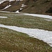 Ca. 1600 m: Etwas Schnee und unglaubliche Mengen an Krokus