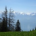 Blick in die Walliser Gipfel