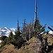 Am Grat zum Aabeberg