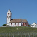 die bekannte Bergkirche von Hallau, welche den Namen "St. Moritz" trägt