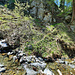 Avant Hubulti, traversée du torrent du Feergrabu (vue arrière). 
