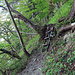 Impressionen vom Trittweg
