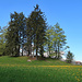 Aussicht Plattform über Igis und Landquart