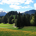 Wanderweg ab Mittagplatte zum Medli