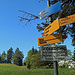 Warnschild Gratwanderweg "Für Hunde nicht geeignet"