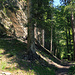 schöner Waldweg hinunter nach Igis