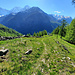 Descente en direction de Gabi par le Stockalperweg. Arrivée à la chapelle.