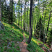 Sur le vieux sentier passant par Schilt (vue arrière).