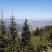 Blick Richtung Bodensee