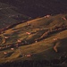 Appenzeller Wiesen