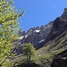 Der Steig führt auf ca. 1350 m an den Rand des Laufbachtobels, der hier tief eingschnitten ist; Blick auf Schneck und Himmelhorn