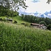 Versarico