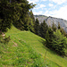 der Weg hinauf zu Eidenen Alp