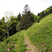 der Weg hinauf zu Eidenen Alp