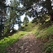 der Weg hinauf zu Eidenen Alp