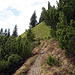 der Weg zur Alp Wis