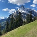 [https://www.hikr.org/tour/post71233.html Gitschen] - ein wahrhaft beeindruckender Berg