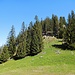 Laberalm