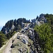 Schartenkopf (1636 m)