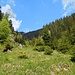 Abstieg ins Graswangtal