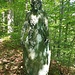 Es gibt viele Skulpturen in der Gegend vom ehemaligen Kloster Schönthal<br />hier steht die Grossmutter / der Wolf aus Rotkäppchen