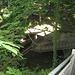 Am Stadtrand verschwinden Fluss und Wanderweg im Untergrund