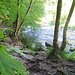 Passage an der Wutach kurz nach der Schattenmühle