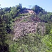 Etwa 50 000 Kubikmeter Felsen und Kies rutschen 2017 in die Schlucht. <br />panta rhei, πάντα ῥεῖ ‚ alles fließt