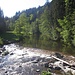 Blick flussaufwärts von der Brücke an der Schattenmühle. Flussaufwärts liegt der Abschnitt der Grundgebirgsschlucht. Die komplette Schlucht gibts hier:<br />[https://www.hikr.org/tour/post107662.html Wutachschlucht XL - Gutach, Wutach, Gauchach]