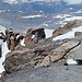 Blick von der Dufourspitze über einen Teil des zuvor begangenen Felsgrates
