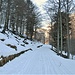 Sulla strada per la Valle Loana.