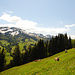 Prodelalpe