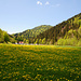 Im Tal der Weißach