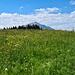 Mit Sicht auf die Rigi